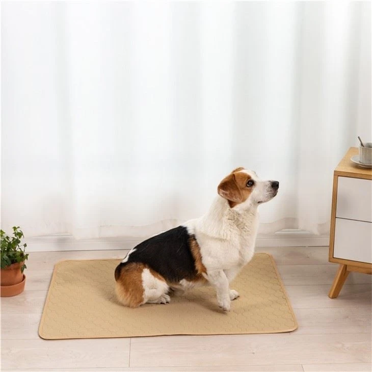 changing-pads-for-dog27573202451